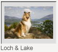 Loch_Lake