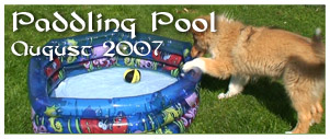 Poolbanner