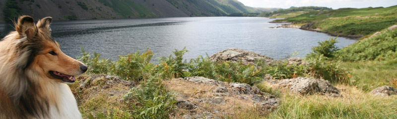 holly-wastwater